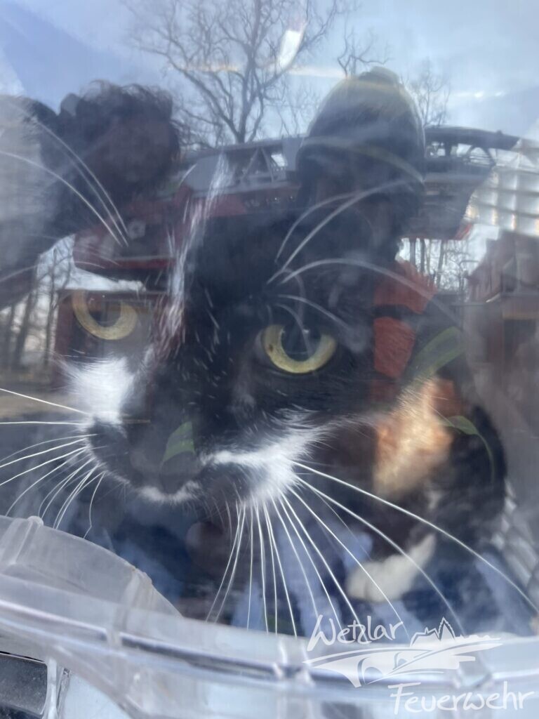 Tierrettung für die Feuerwehr Büblingshausen